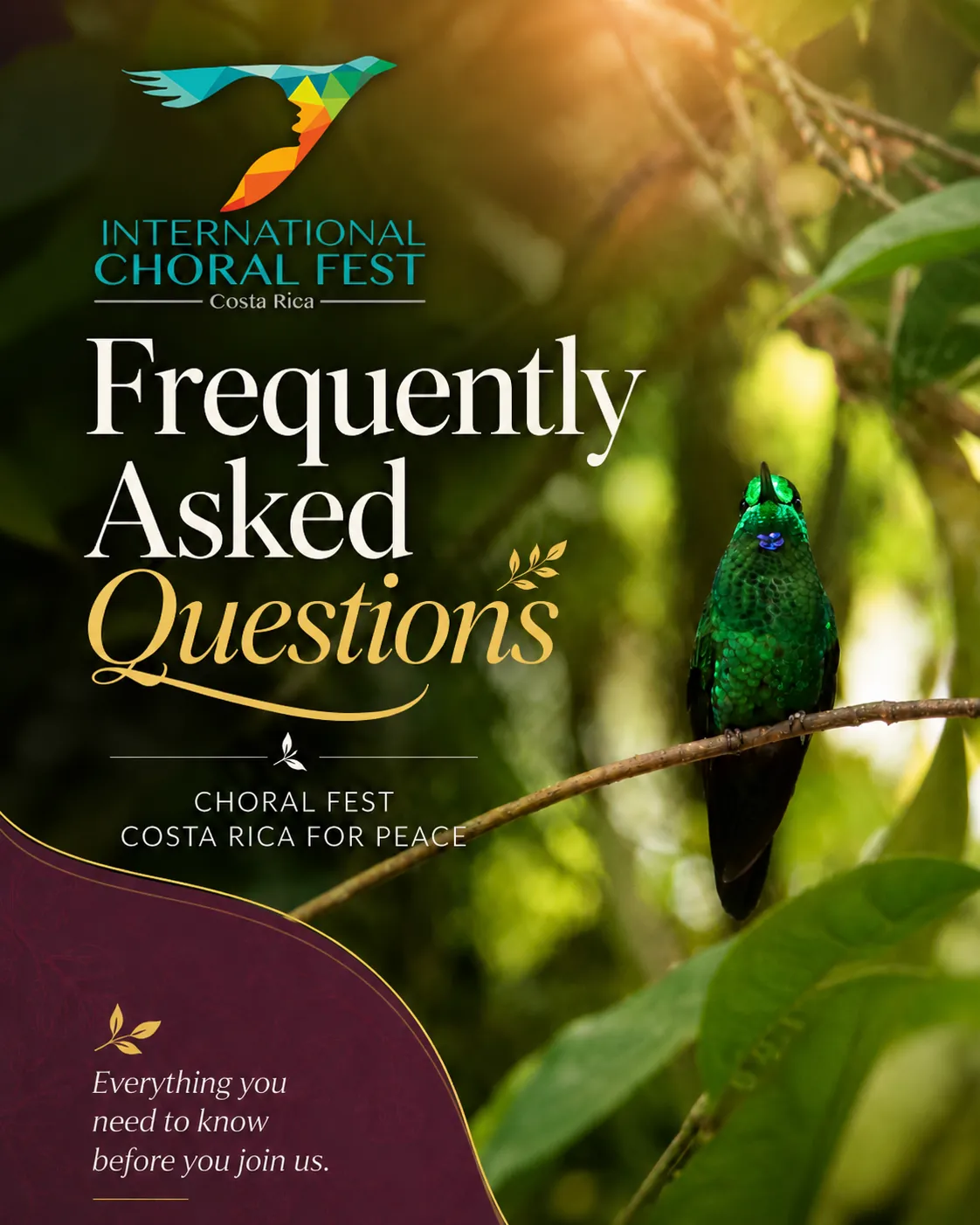 Hummingbird in a Costa Rican forest with Frequently Asked Questions text for Choral Fest Costa Rica for Peace.
