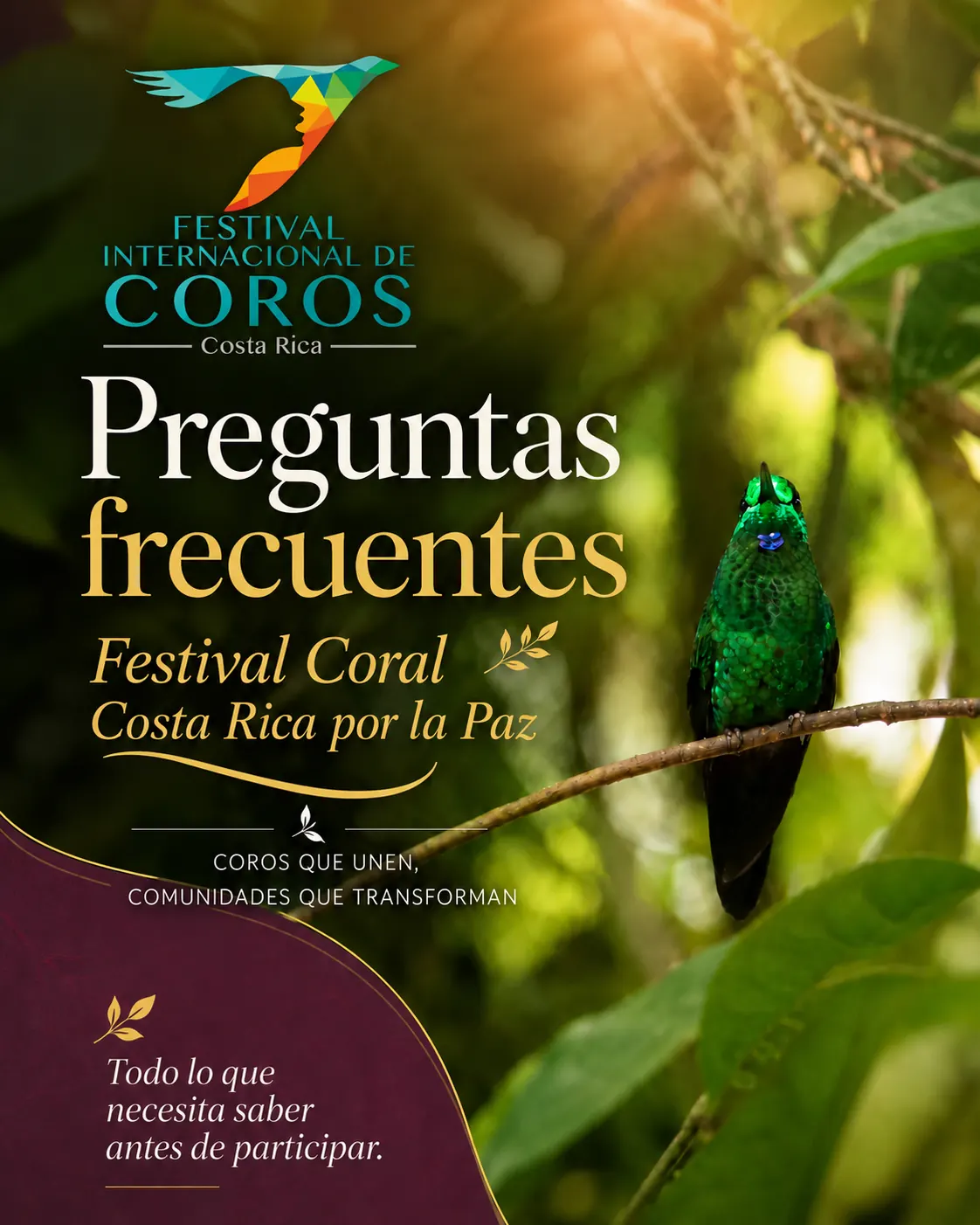 Colibrí en bosque costarricense con texto de preguntas frecuentes del festival coral.